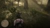 Red Dead Redemption 2_20190307191044.jpg