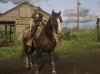 Red Dead Redemption 2_20200601192552.jpg