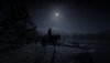 Red Dead Redemption 2_20210325090039.jpg